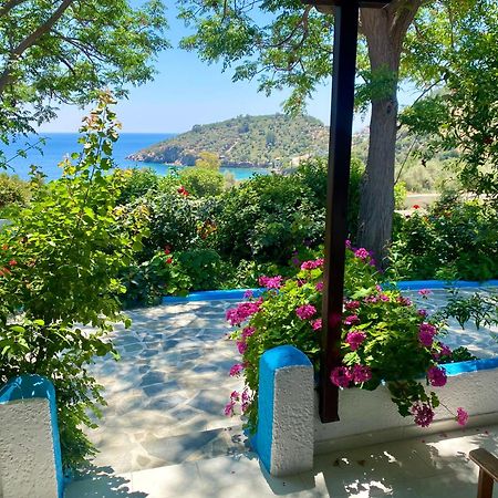 Studios Ioanna Limnionas Samos Marathokampos Luaran gambar