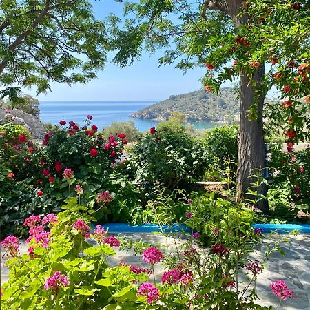 Studios Ioanna Limnionas Samos Marathokampos Luaran gambar