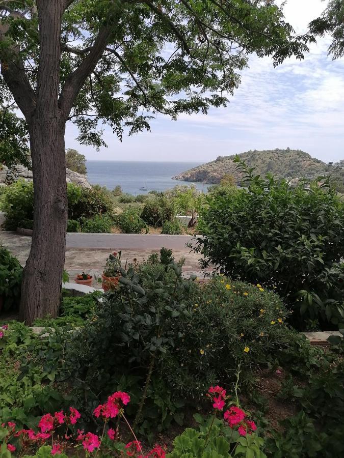 Studios Ioanna Limnionas Samos Marathokampos Luaran gambar