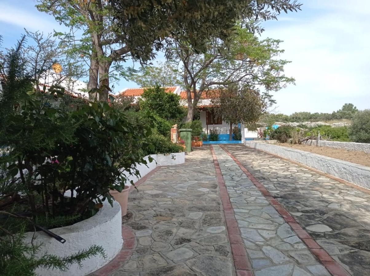 Studios Ioanna Limnionas Samos Marathokampos Luaran gambar