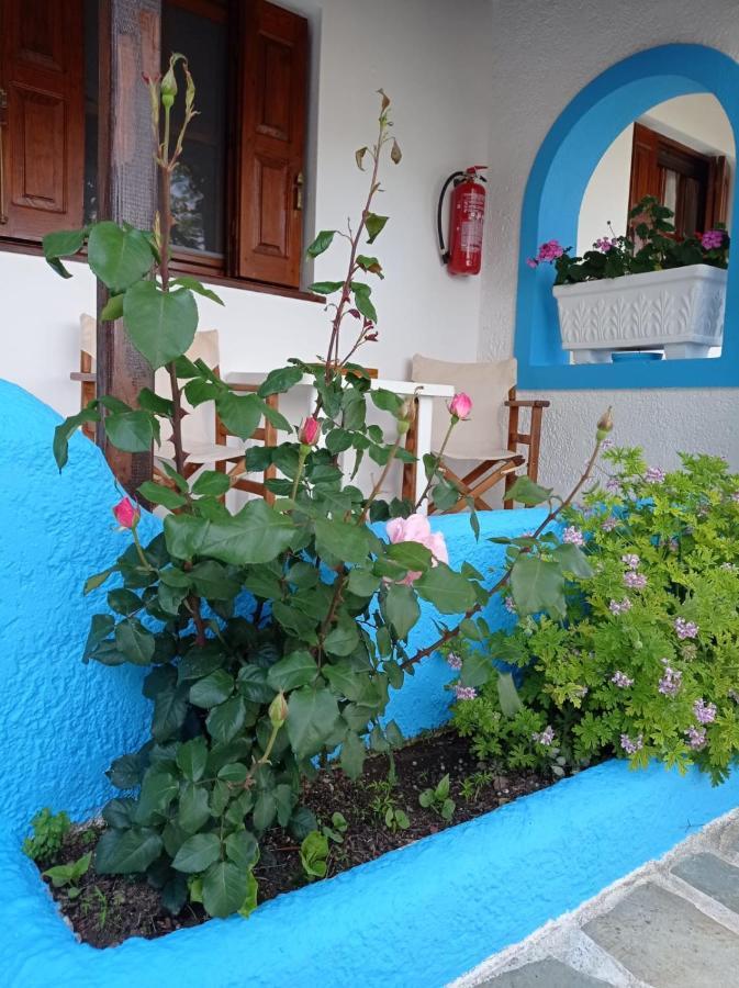 Studios Ioanna Limnionas Samos Marathokampos Luaran gambar