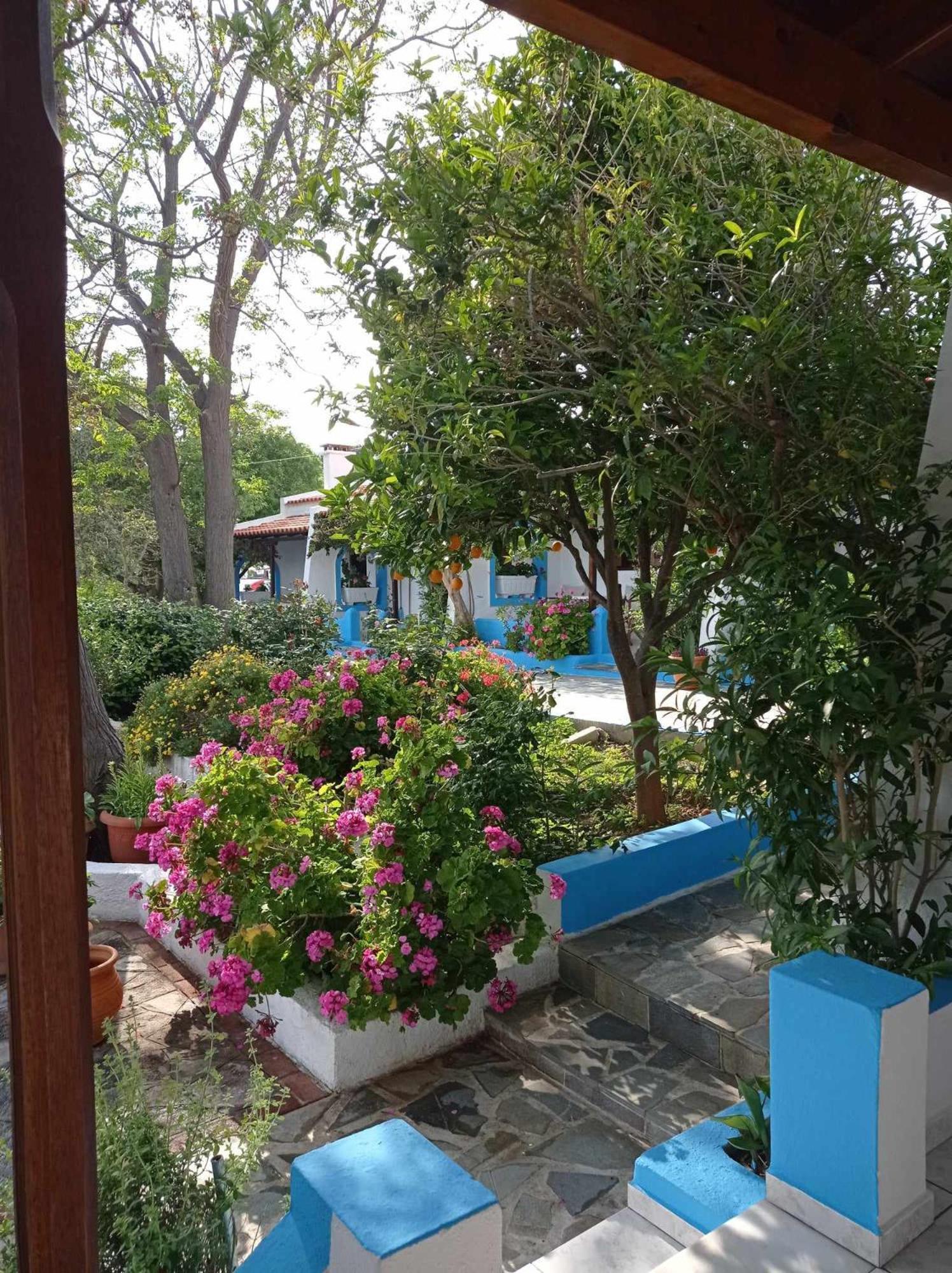 Studios Ioanna Limnionas Samos Marathokampos Luaran gambar