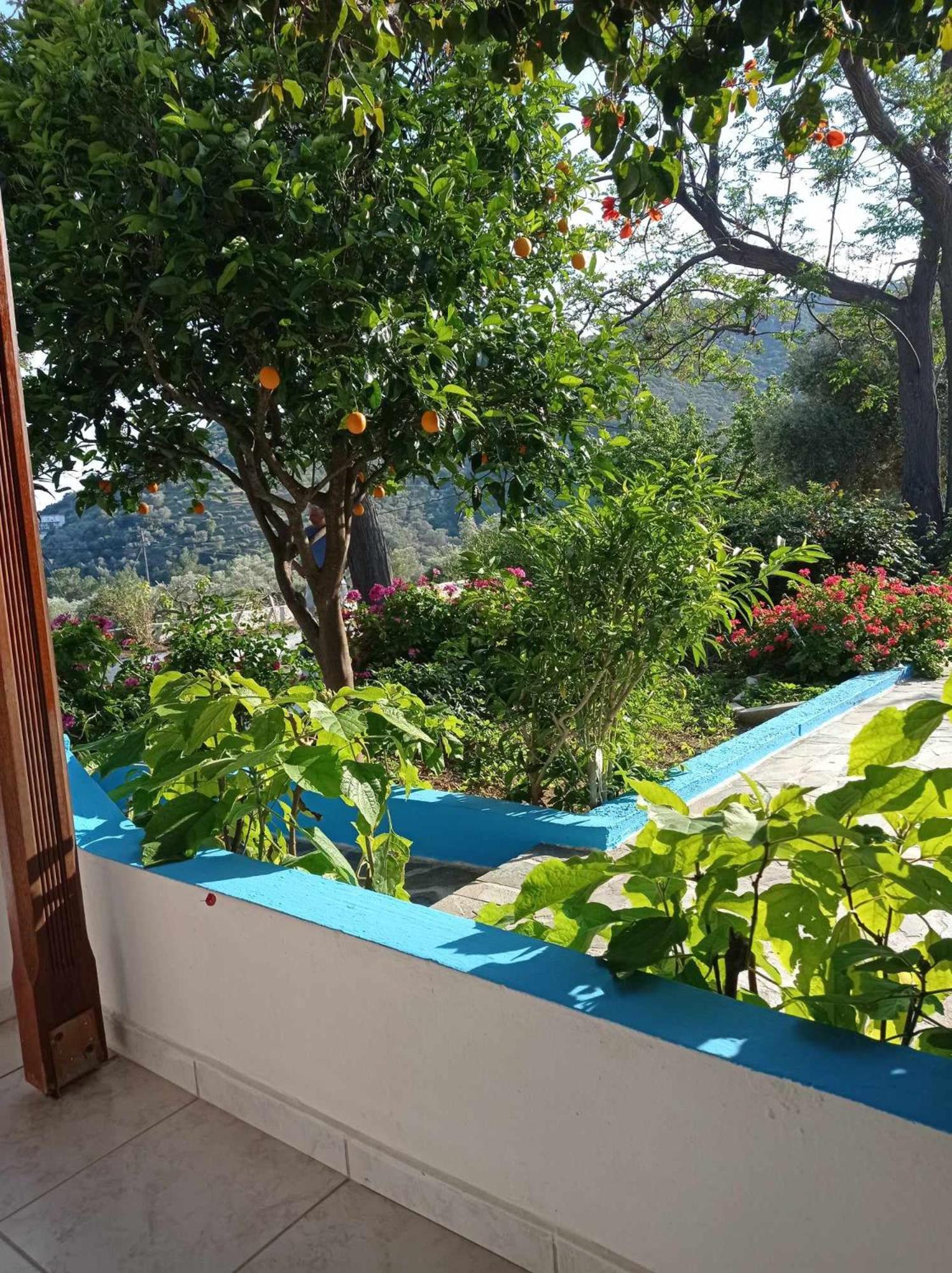 Studios Ioanna Limnionas Samos Marathokampos Luaran gambar