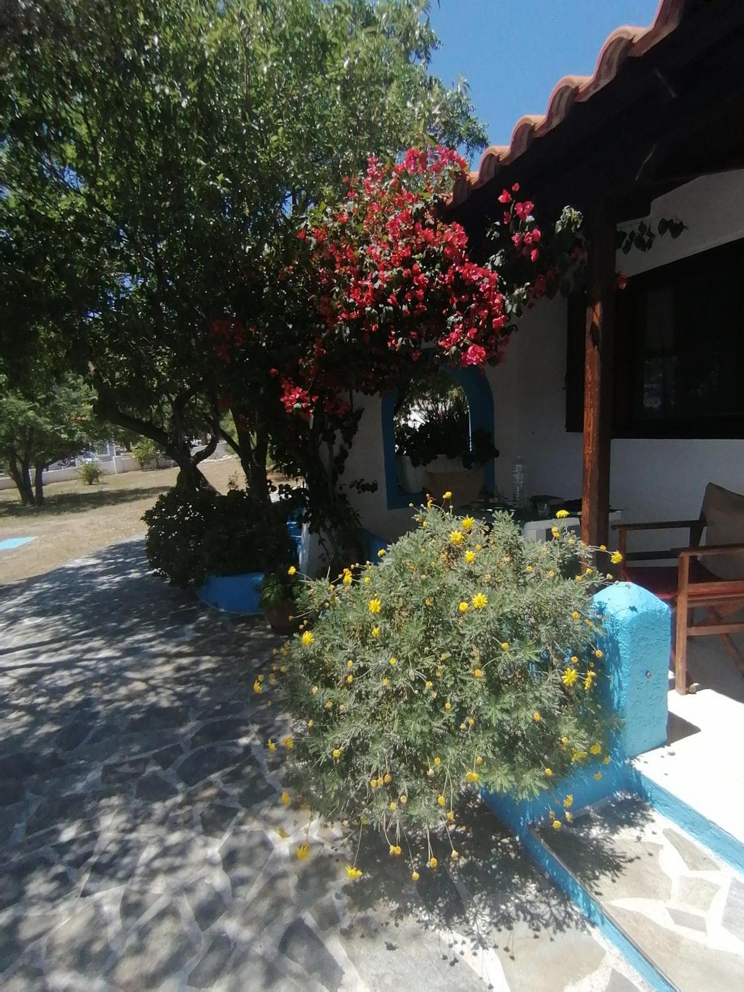 Studios Ioanna Limnionas Samos Marathokampos Luaran gambar