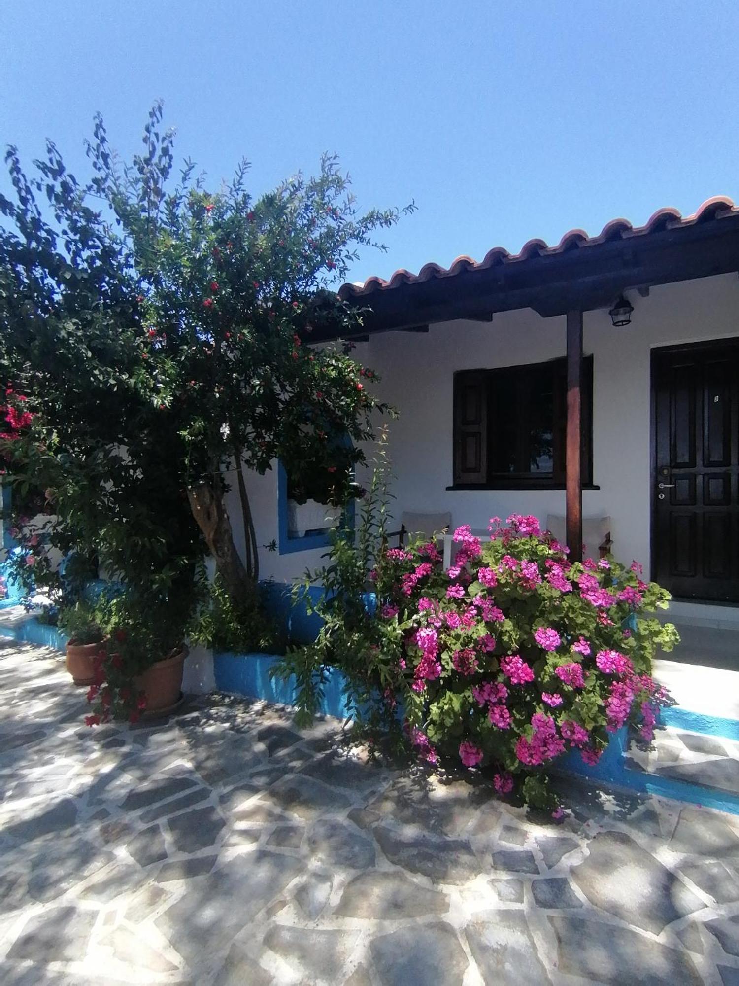 Studios Ioanna Limnionas Samos Marathokampos Luaran gambar