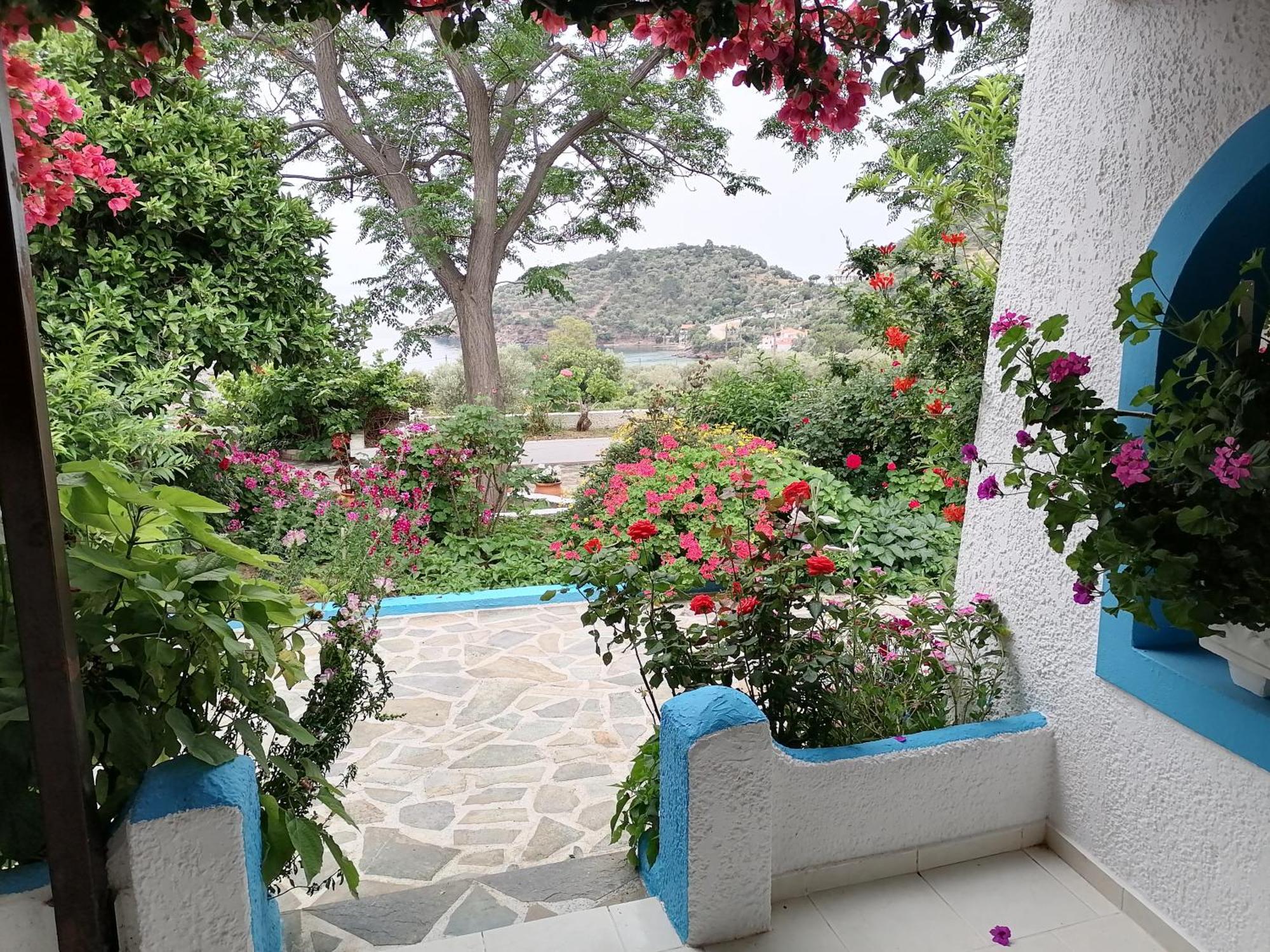 Studios Ioanna Limnionas Samos Marathokampos Luaran gambar