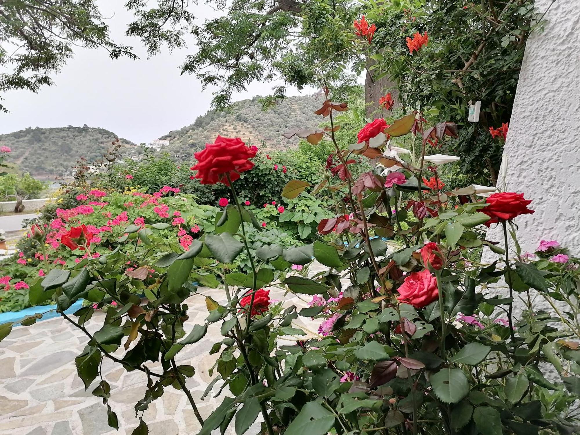 Studios Ioanna Limnionas Samos Marathokampos Luaran gambar