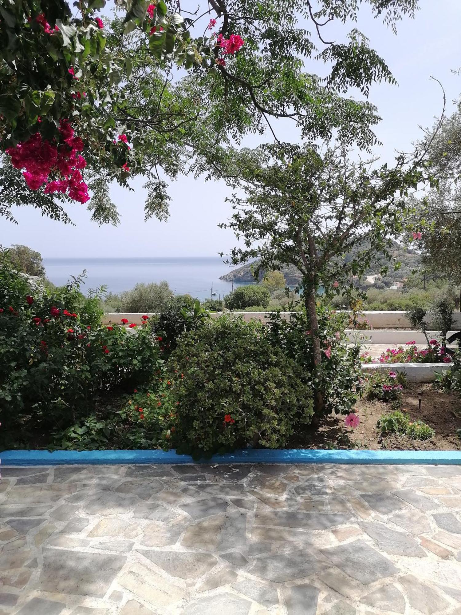 Studios Ioanna Limnionas Samos Marathokampos Luaran gambar