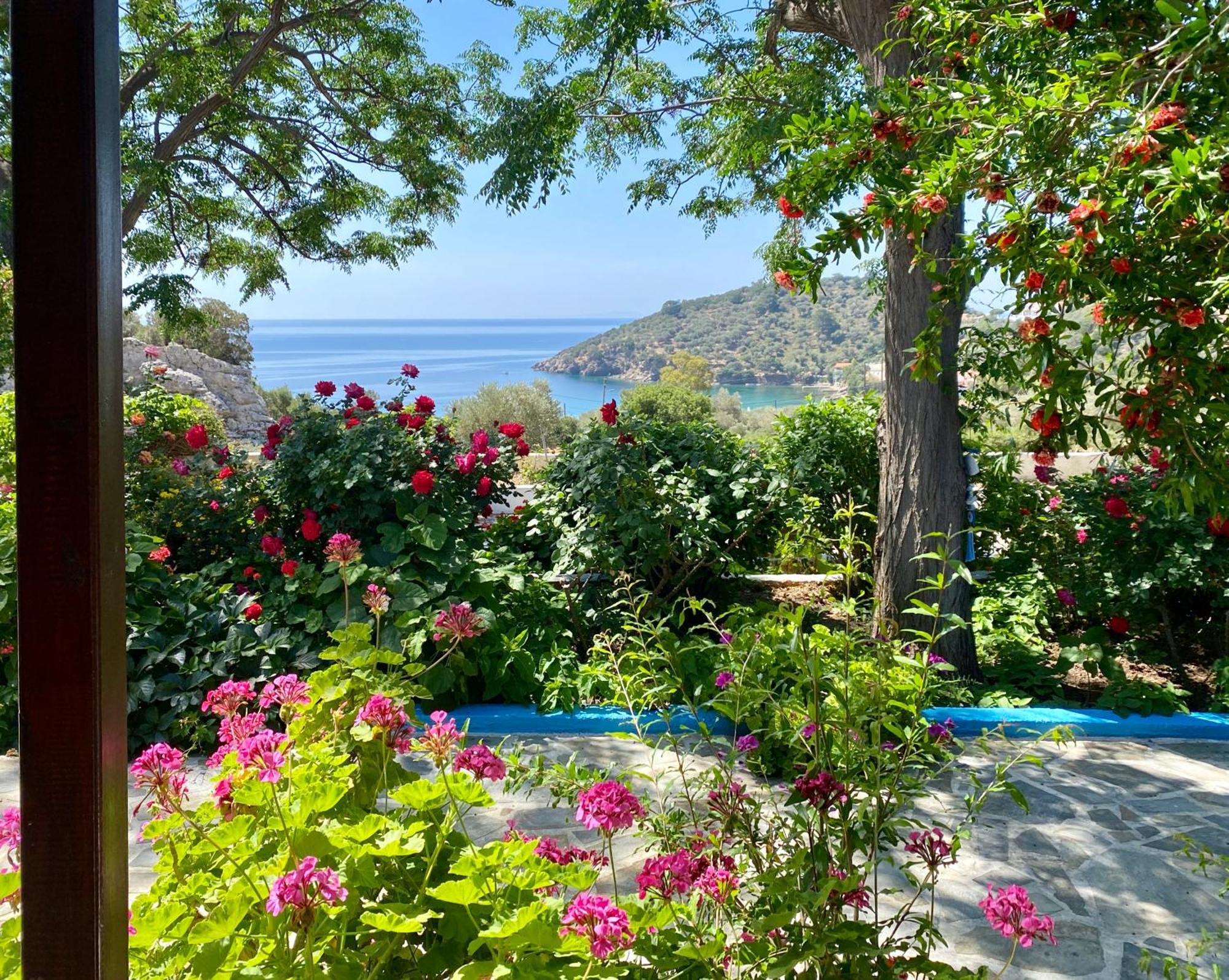 Studios Ioanna Limnionas Samos Marathokampos Luaran gambar