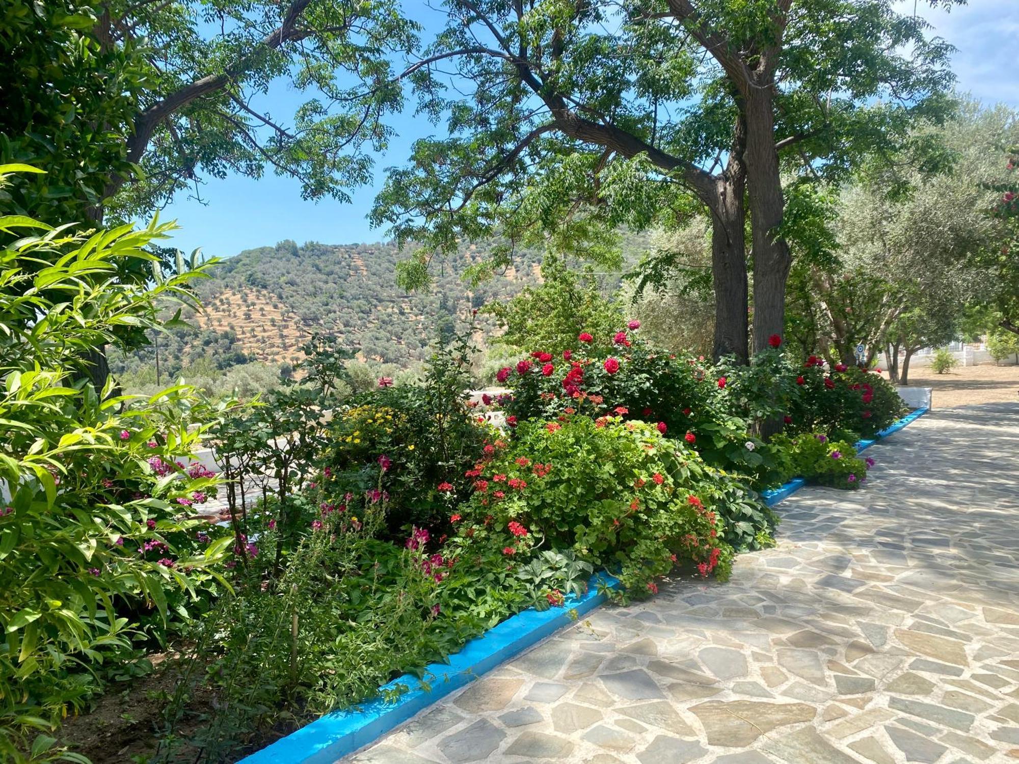 Studios Ioanna Limnionas Samos Marathokampos Luaran gambar